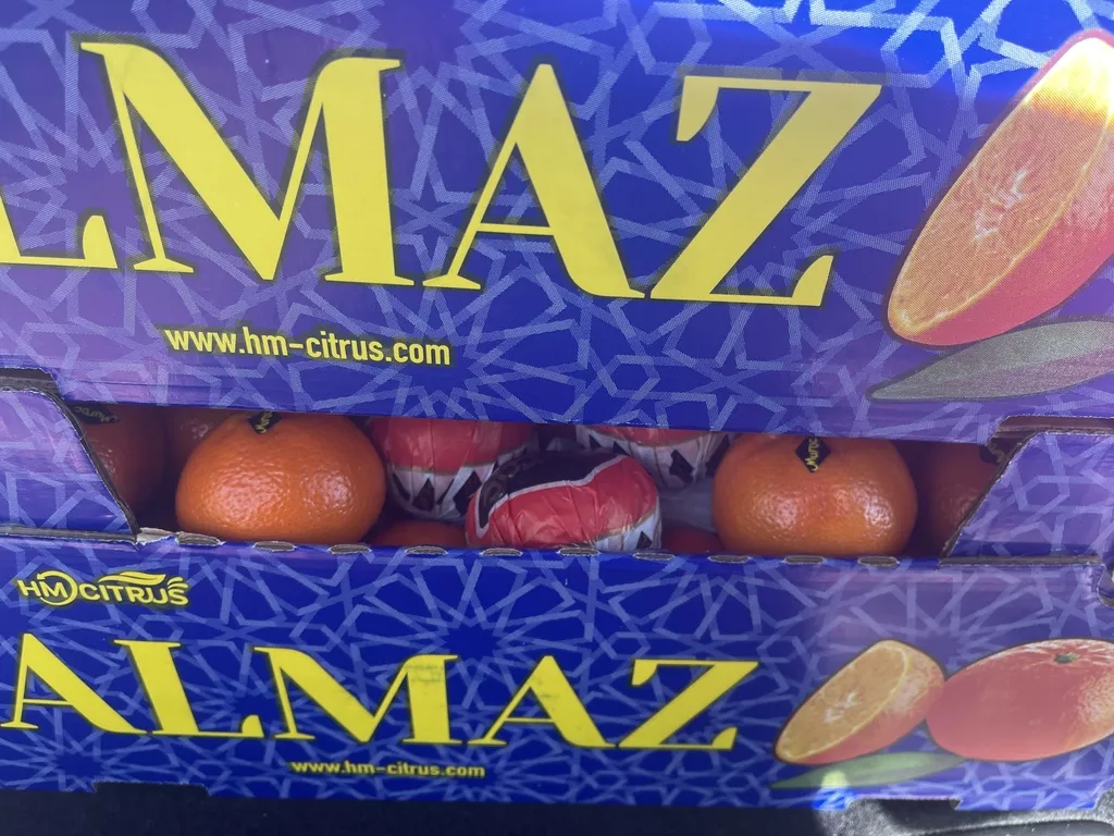 мандарины сорт надоркот в Марокко 2
