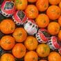 мандарины из марокко надоркот в Марокко