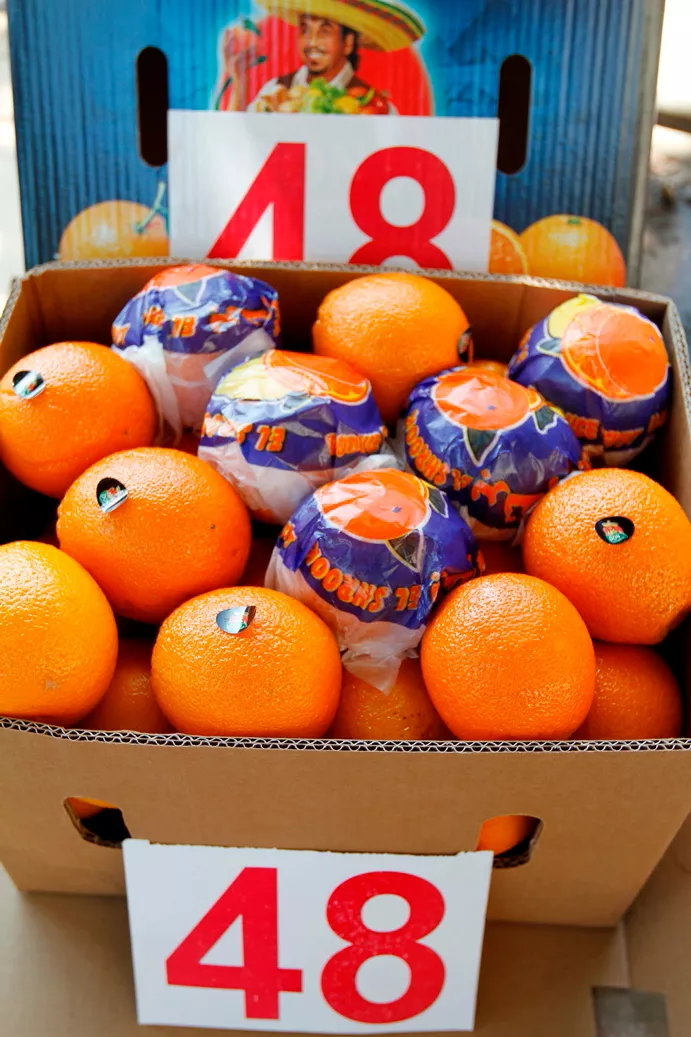 фотография продукта Апельсины валенсия, египет