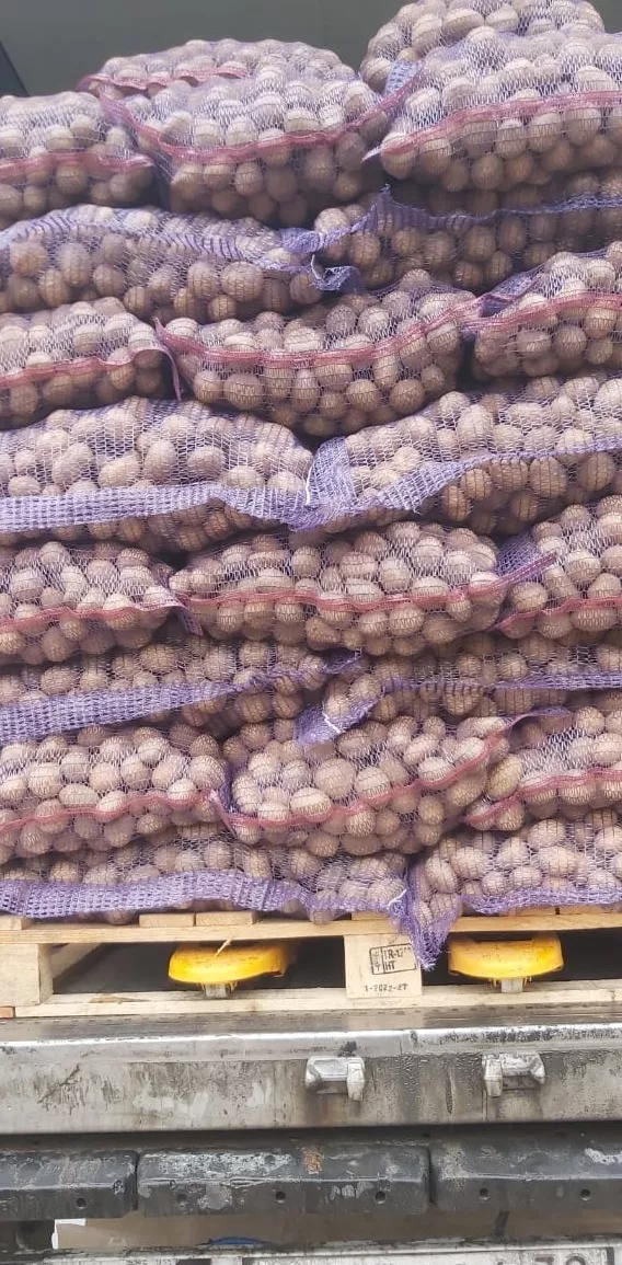 семенной картофель оптом от фермера в Краснодаре и Краснодарском крае