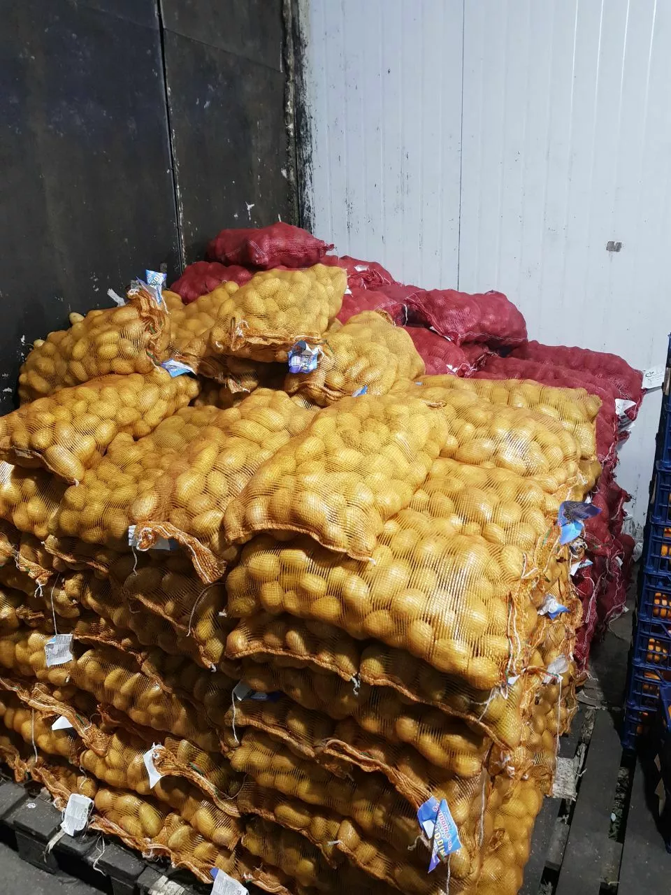 картофель пакестан в Хабаровске