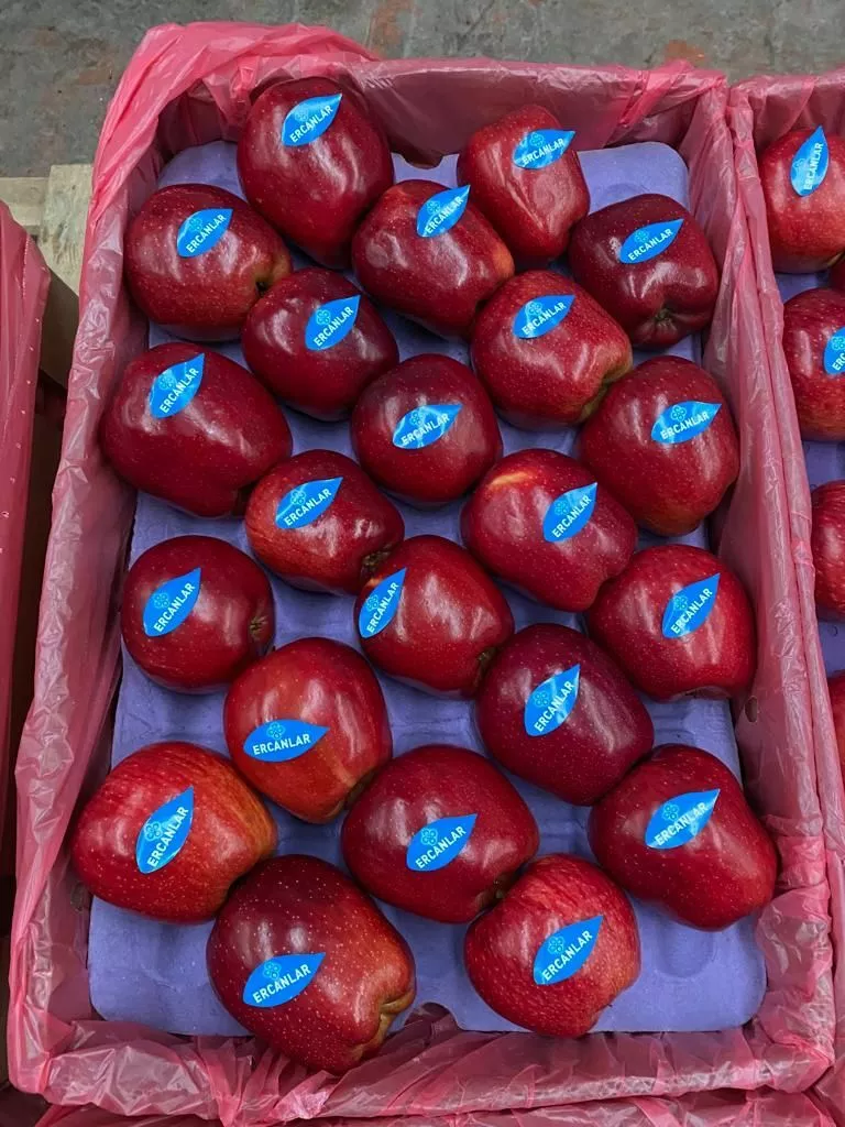 фотография продукта Свежие яблоки из турции  