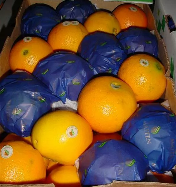 фотография продукта Предлагаю апельсин из аргентины