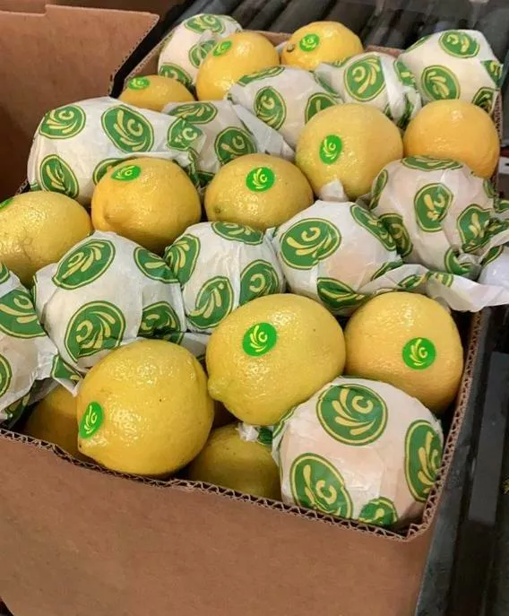 фотография продукта Предлагаю лимон из аргентины