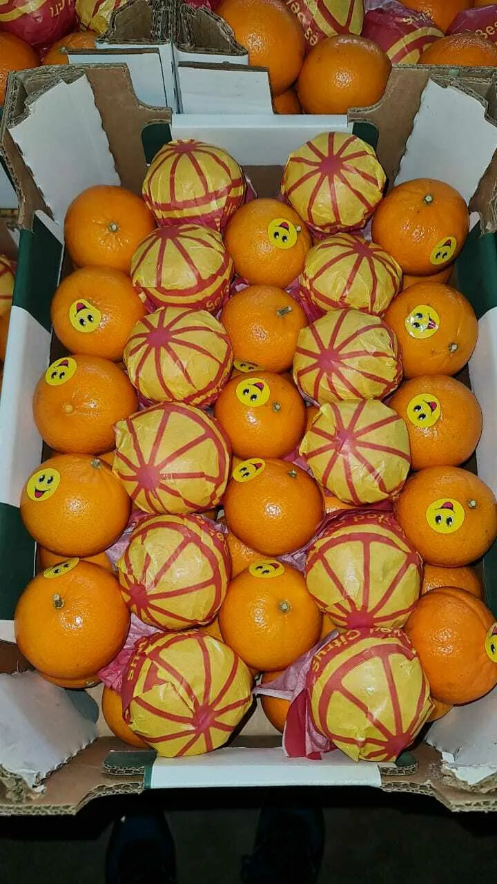 фотография продукта Египетские мандарины свежие.