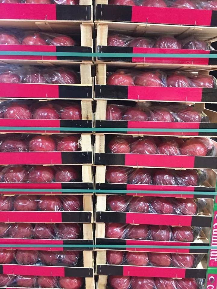 wholesale pomegranate sales  в Турции 11