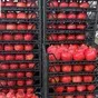 wholesale pomegranate sales  в Турции 5