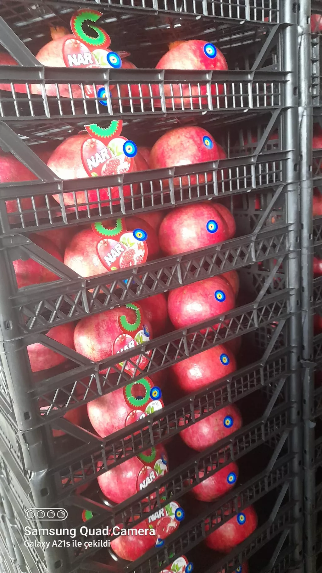 wholesale pomegranate sales  в Турции 3