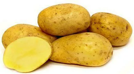 фотография продукта Семенной картофель из беларуси. бриз