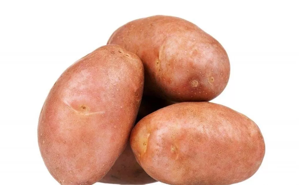 фотография продукта Семенной картофель из беларуси.вектор