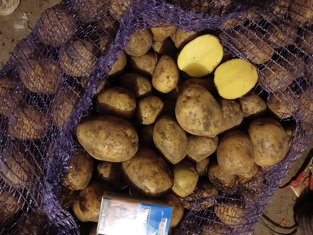 картофель продовольственный оптом в Ростове-на-Дону и Ростовской области