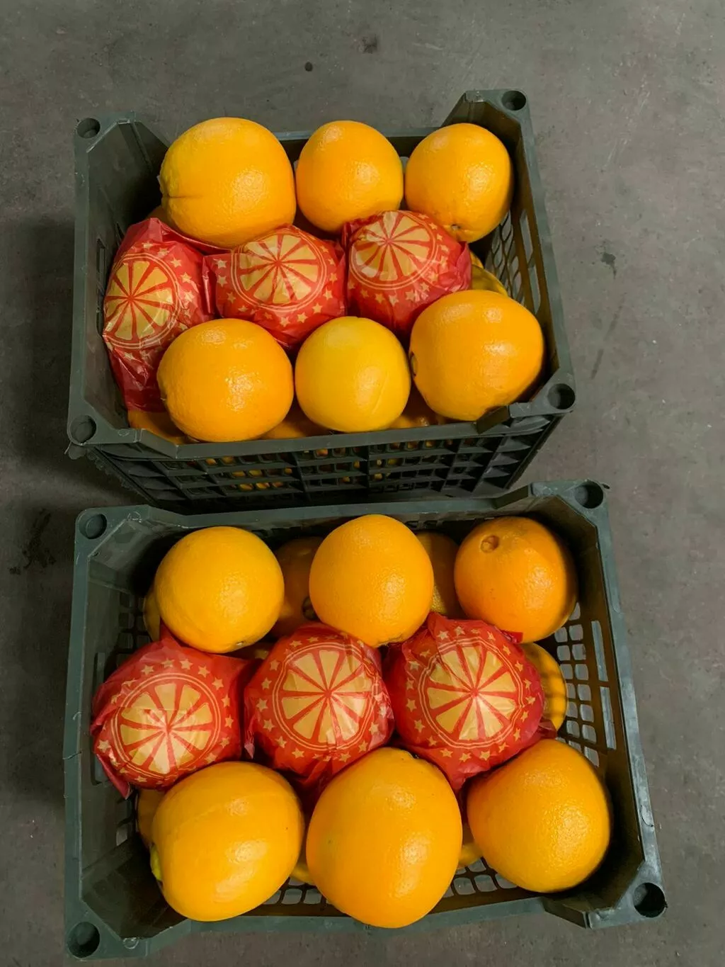 апельсины из египта  в Египте 8