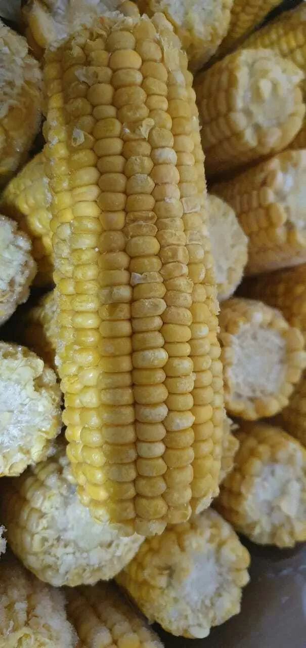 фотография продукта Кукуруза замороженная в початках, РФ