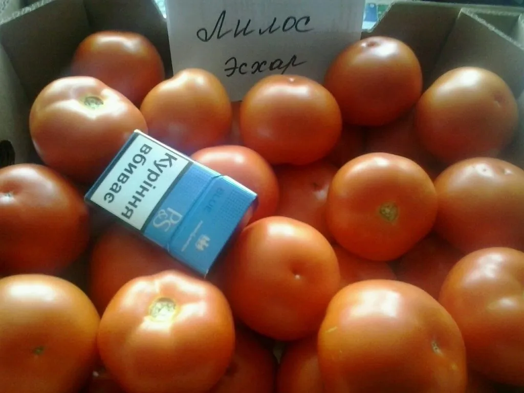 фотография продукта томаты, помидоры тепличные