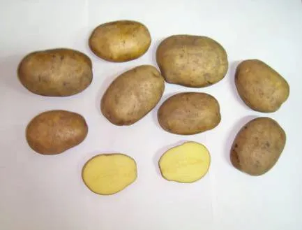 картофель в Москве 2