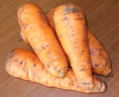 фотография продукта Морковь 5,00 Руб За Кг.
