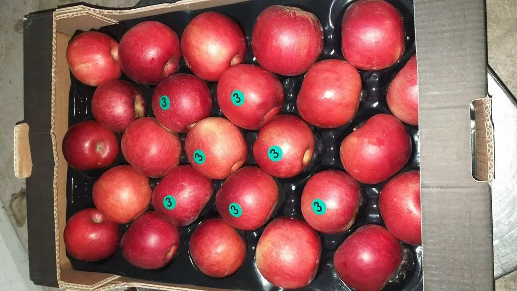 яблоки  из сербии!!! в Сербии