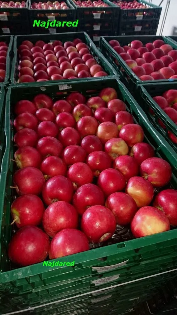 экспорт яблок из РП - холодильники в Уганде 5