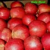 экспорт яблок из РП - холодильники в Уганде 4