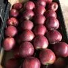 экспорт яблок из РП - холодильники в Уганде 6