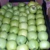 экспорт яблок из РП - холодильники в Уганде 9