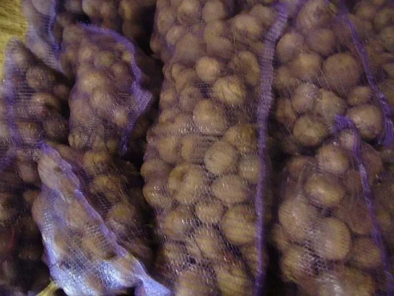 фотография продукта Продам картофель, капусту, оптом