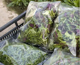 фотография продукта Упаковщики салатов, овощей, фруктов