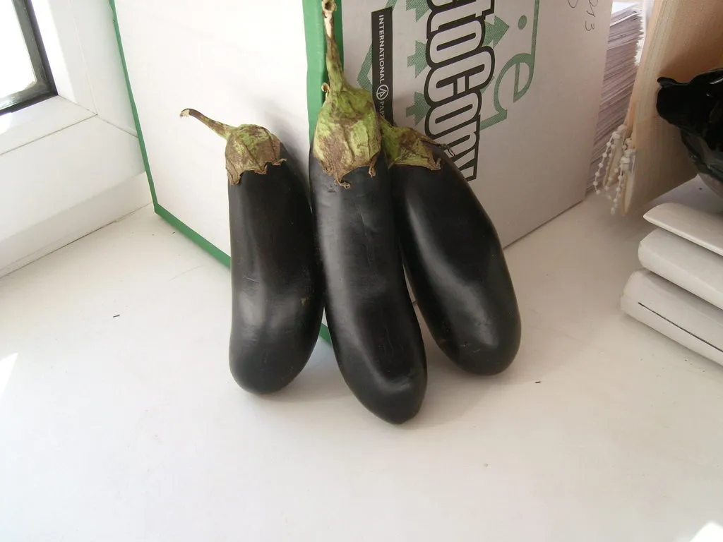 фотография продукта Баклажан черный размер 15-25 см оптом