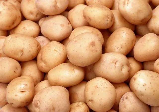 фотография продукта Реализуем семенной картофель. 12 руб. 