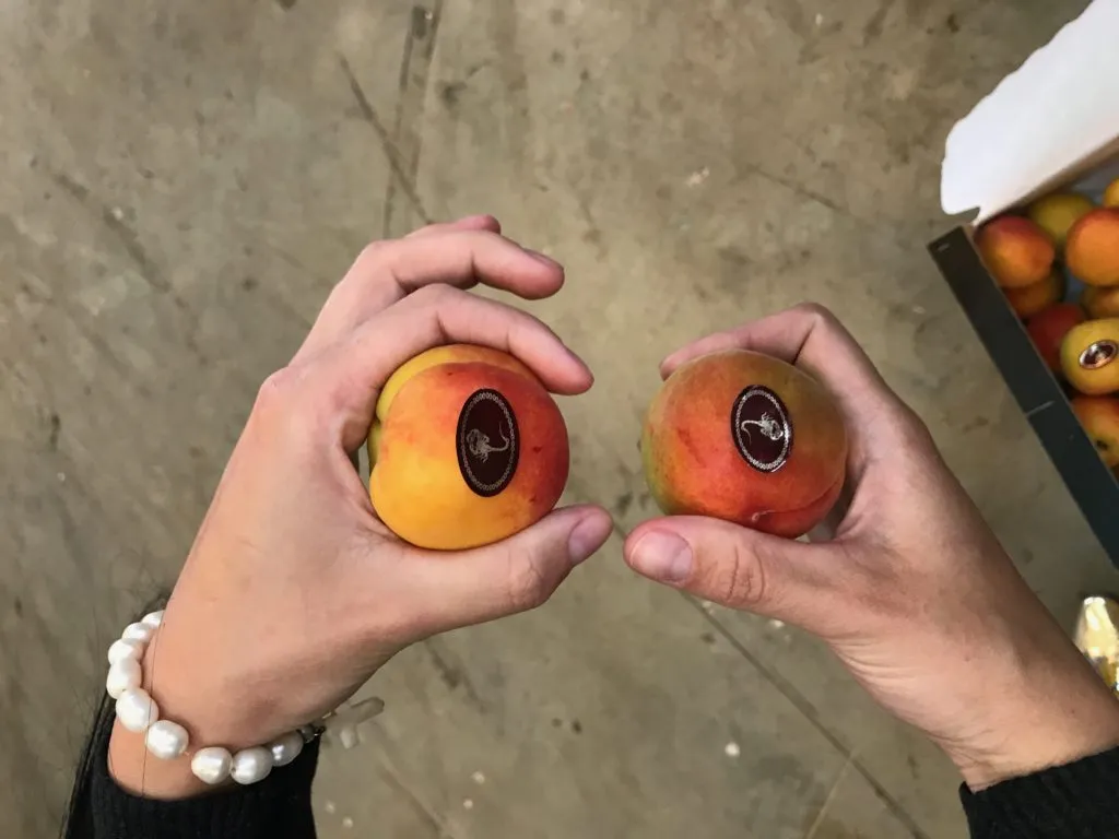 нектарин,черешня,абрикос,плоский персик в Испании 18