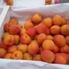 нектарин,черешня,абрикос,плоский персик в Испании 4