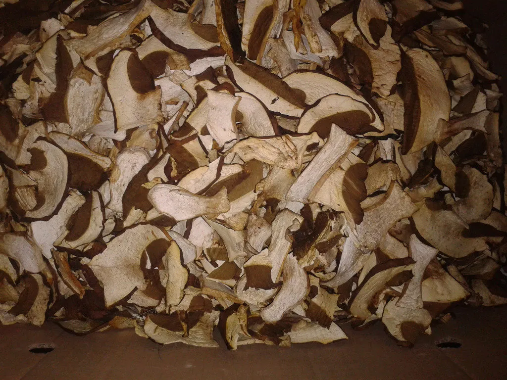 фотография продукта сушёные грибы белые,лисичка,подосиновик