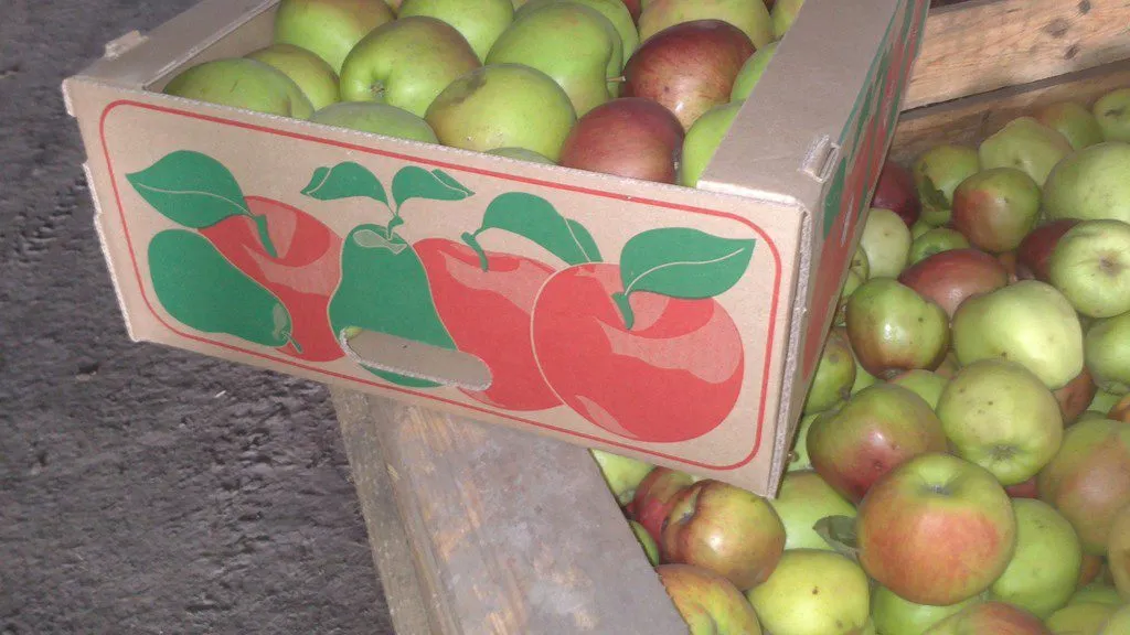 яблоки Российских и зарубежных производ в Димитровграде
