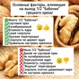 орехокол для грецких орехов СТАРТ  в Ростове-на-Дону 5