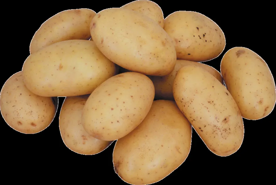 фотография продукта картофель гриль от 300 гр до 500 гр 