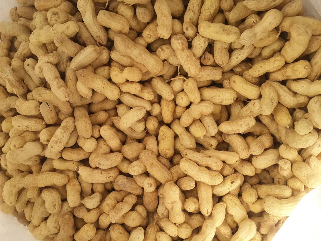  орехи  сухофрукты  и  бобови в Узбекистане