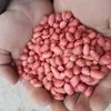  орехи  сухофрукты  и  бобови в Узбекистане 2