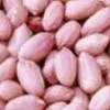 от завода: арахис оптом  в Китае