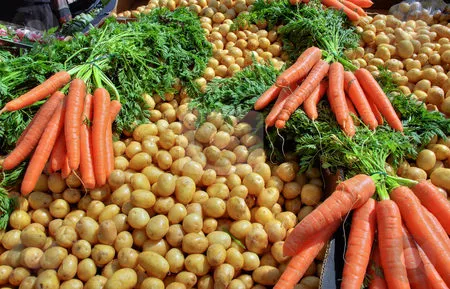 фотография продукта Морковь Картофель  Оптом 