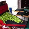 линия для калибровки фруктов и яблок в Республике Беларусь