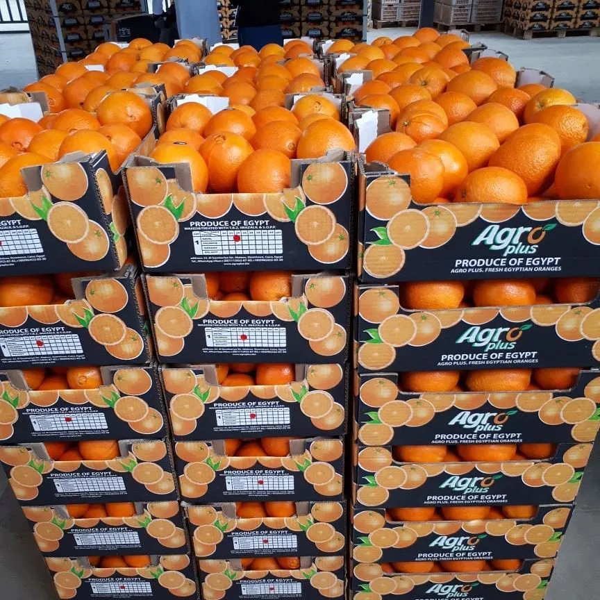 фотография продукта Апельсины из египта