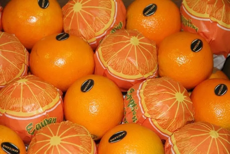 апельсины из египта в Египте 5