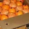 апельсины из египта в Египте 3