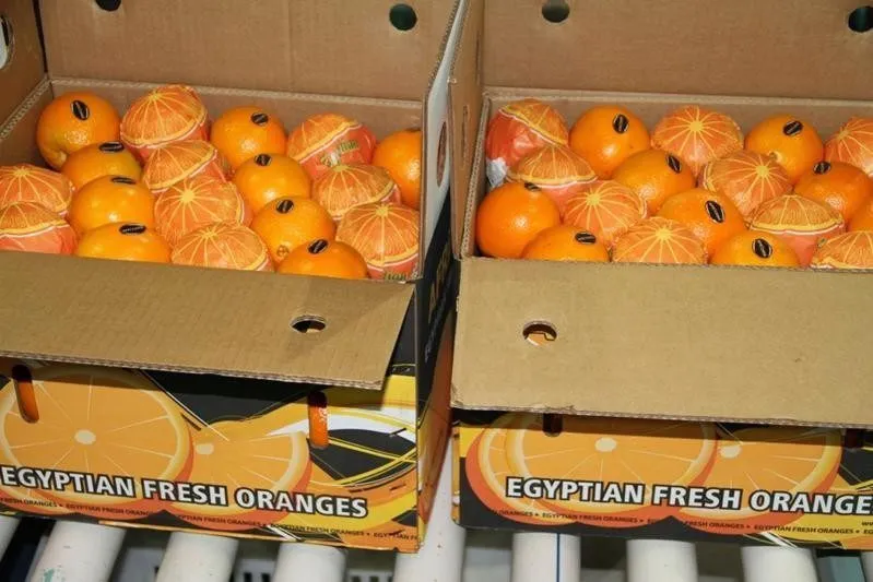апельсины из египта в Египте 2