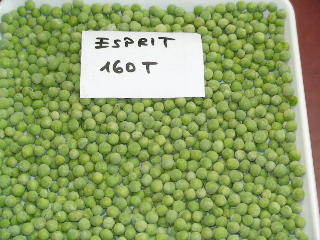 фотография продукта Замороженные горох-iqf Green peas kernel