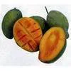 Фотография продукта Sell: Mangos (tropical fresh fruit).