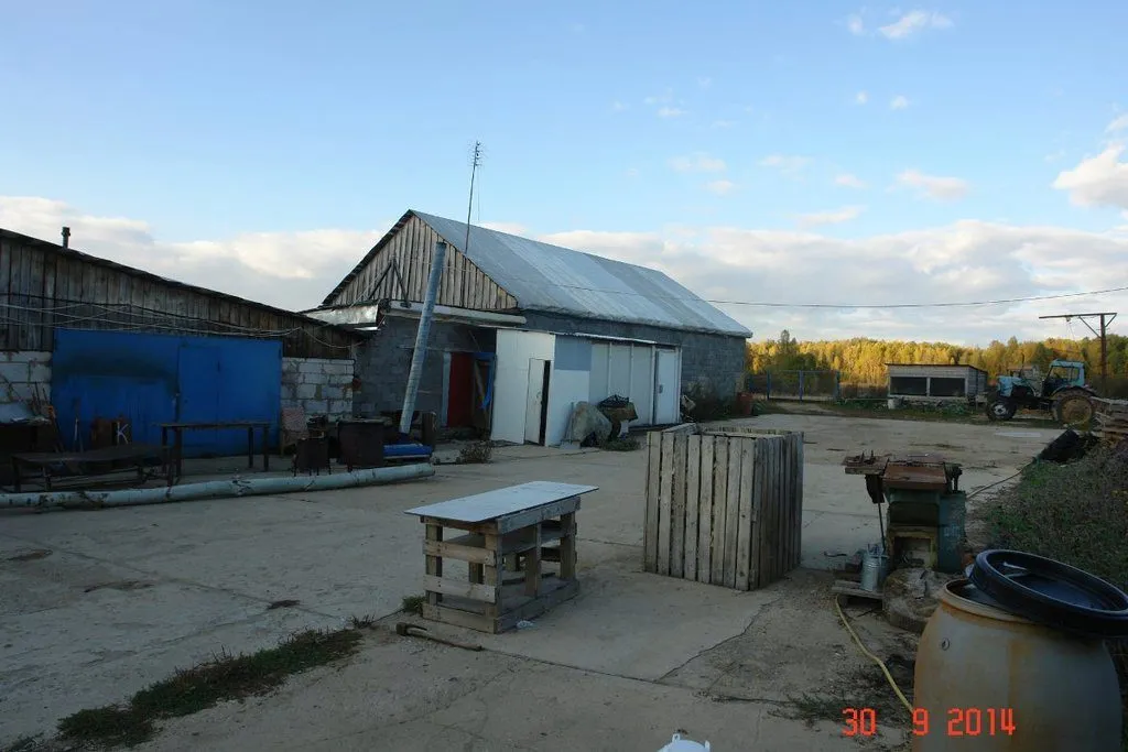 мини-ферму с пастбищем и жилым домом в Москве 14