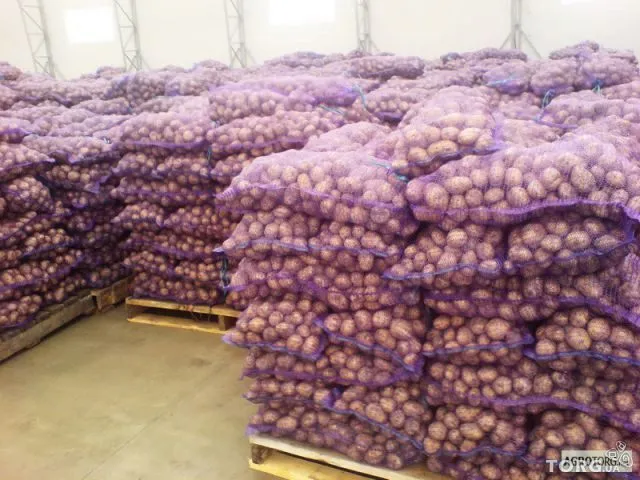 фотография продукта Картофель оптом 2015год от 15 тонн. 