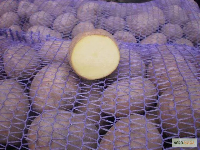 фотография продукта Картофель от производителя