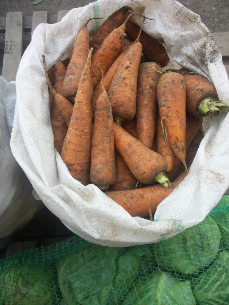 фотография продукта Морковь фурами